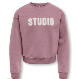 ONLY KOGSWEAT LS CREW OVZ STAT SWT NOOS Style No. 15353354 Colour: Foxglove STUDIO - Terry Emb.