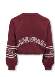ONLY KOGCOLETTA L/S V-NECK PRINT SWT Style No. 15362087 Color: Cabernet Real