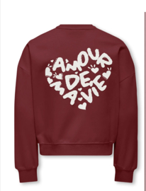 ONLY KOGTAMMIE LIFE L/S PRINT O-NECK SWT Style No. 15361482 Colour: Cabernet Amour/Cloud Dancer