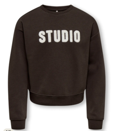 ONLY KOGSWEAT LS CREW OVZ STAT SWT NOOS Style No. 15353354 Colour: Coffee Bean STUDIO - Terry Emb