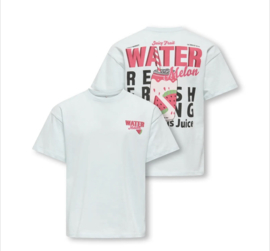 ONLY KOGCANA LIFE SS RLX PRINTED TOP JRS Style No. 15368763 Colour: Wan Blue Melon