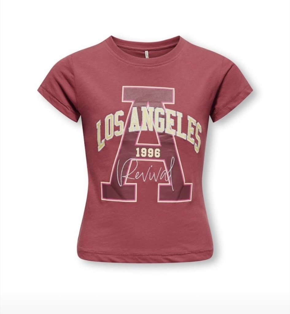 ONLY KOGKELLY LIFE S/S BABY TEE JRS EARTH RED