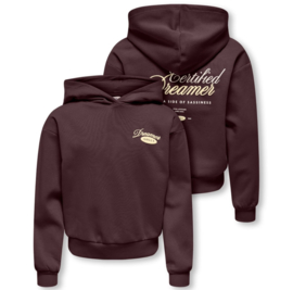 ONLY KOGTIENNA LS PRINTED HOOD SWT Fudge_Dreamer