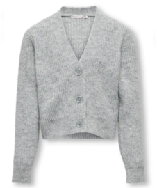 ONLY Kogoriana glitter light grey