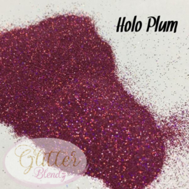 Glitter Blendz - Holo Plum