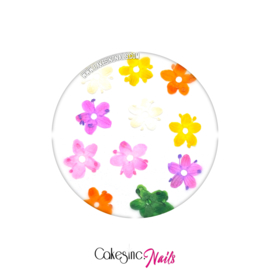 CakesInc.Nails - Arcoiris Dried Flowers "Solid-Color Mixed 2"