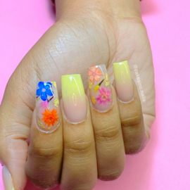 CakesInc.Nails - Dried Flowers "Spring Inspired Mixed-Pack"