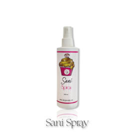 CakesInc.Nails - Sani Spray (240m)