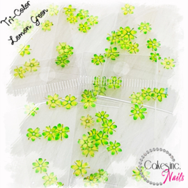 Arcoiris Flowers -  Lemon Green - Tri Color