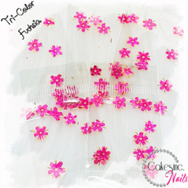 Arcoiris Flowers - Fuchsia - Tri Color