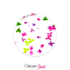 Glitter.Cakey - Spring Garden (Pink&Purple) 'THE SLICES'