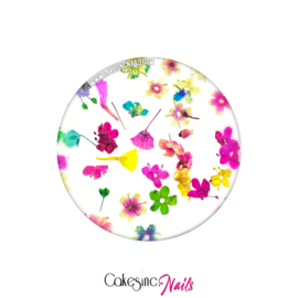 CakesInc.Nails - Dried Flowers "Summer Inspired Mixed-Pack"