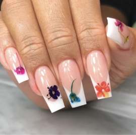 CakesInc.Nails - Dried Flowers "Summer Inspired Mixed-Pack"