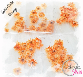 Winter Flowers - Orange