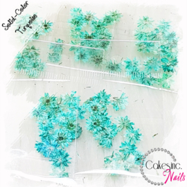 Winter Flowers - Turquoise