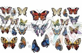 Queen of Decals - Large Butterflies 'NEW RELEASE'