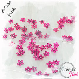 Arcoiris Flowers -  Fuchsia -  Bi Color