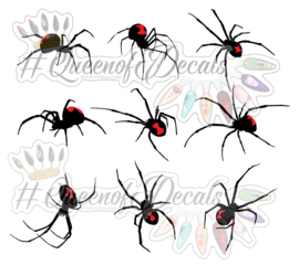 Queen of Decals -  Giant Black Widow Spiders 'NEW RELEASE'