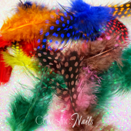Glitter.Cakey - Polka Dots Feathers