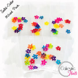 CakesInc.Nails - Arcoiris Dried Flowers "Solid-Color Mixed"