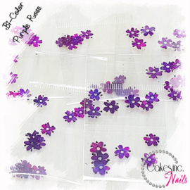 Arcoiris Flowers -  Purple Rose -  Bi Color