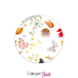 CakesInc.Nails - Transfer Foil 'Autumn Season' Negative Space