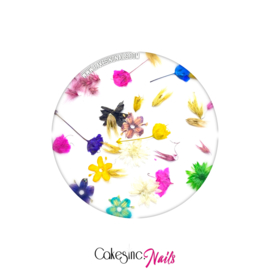 CakesInc.Nails - Dried Flowers "Spring Inspired Mixed-Pack"