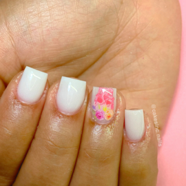 Queen of Decals - Pastel Sugar Skulls
