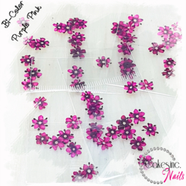 Arcoiris Flowers - Purple Pink -  Bi Color