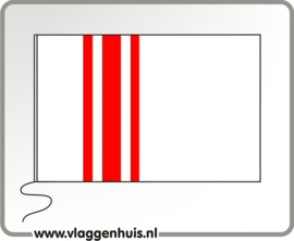 Vlag gemeente Oisterwijk