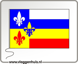 Vlag gemeente Bergeijk