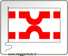 Vlag gemeente Losser