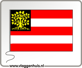 Vlag gemeente Den Bosch