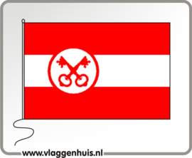 Vlag gemeente Leiden