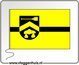 Vlag gemeente Borger-Odoorn