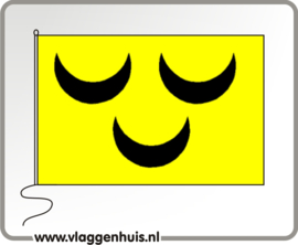 Vlag gemeente Voorschoten