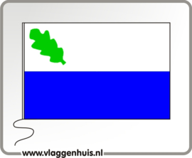 Vlag gemeente Oirschot