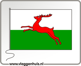 Vlag gemeente Smallingerland