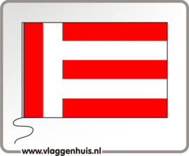 Vlag gemeente Eindhoven