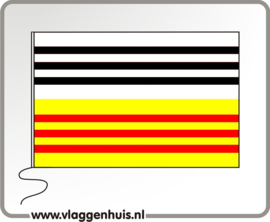 Vlag gemeente Loonopzand