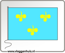 Vlag gemeente Zoeterwoude