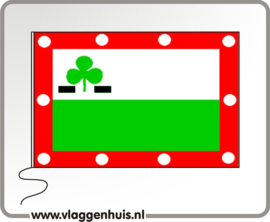 Vlag gemeente Meppel