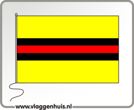 Vlag gemeente Woudenberg