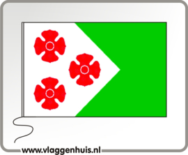 Vlag gemeente Maasdonk