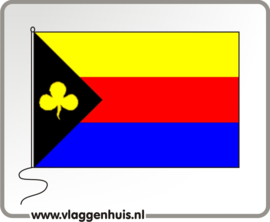 Vlag gemeente Delfzijl