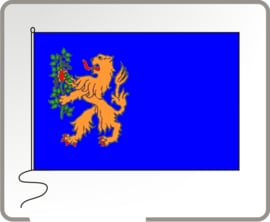 Vlag gemeente Brummen