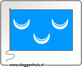 Vlag gemeente Wassenaar