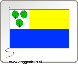 Vlag gemeente Oldebroek