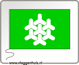 Vlag gemeente Dronten