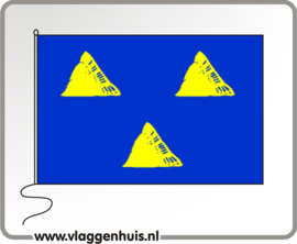 Vlag gemeente Tubbergen